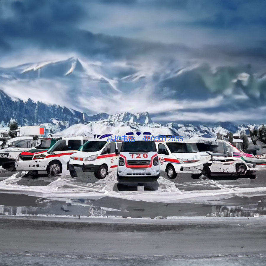 租赁急救车电话